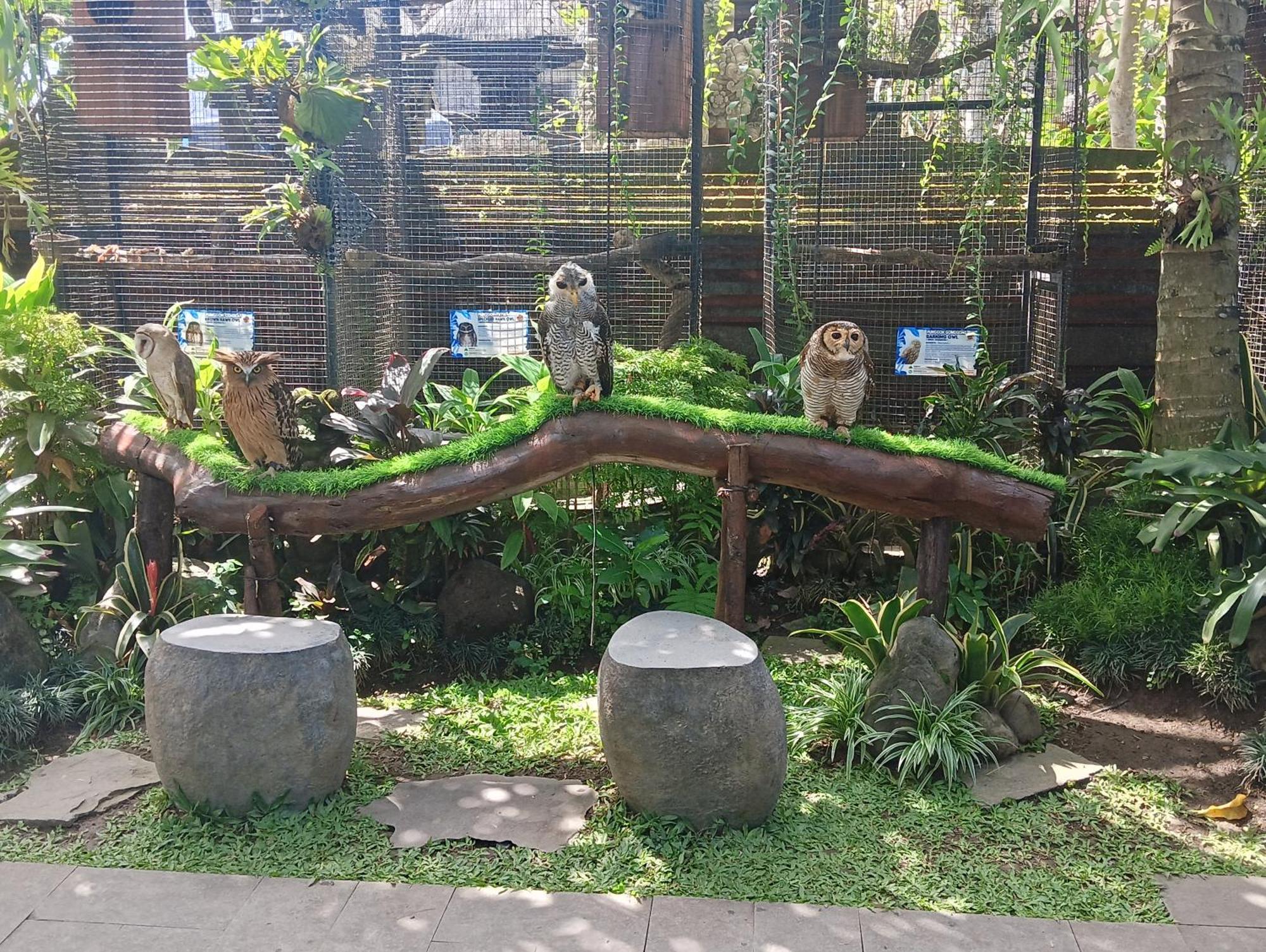 Liyer Spirit House Hotel Ubud  Ngoại thất bức ảnh