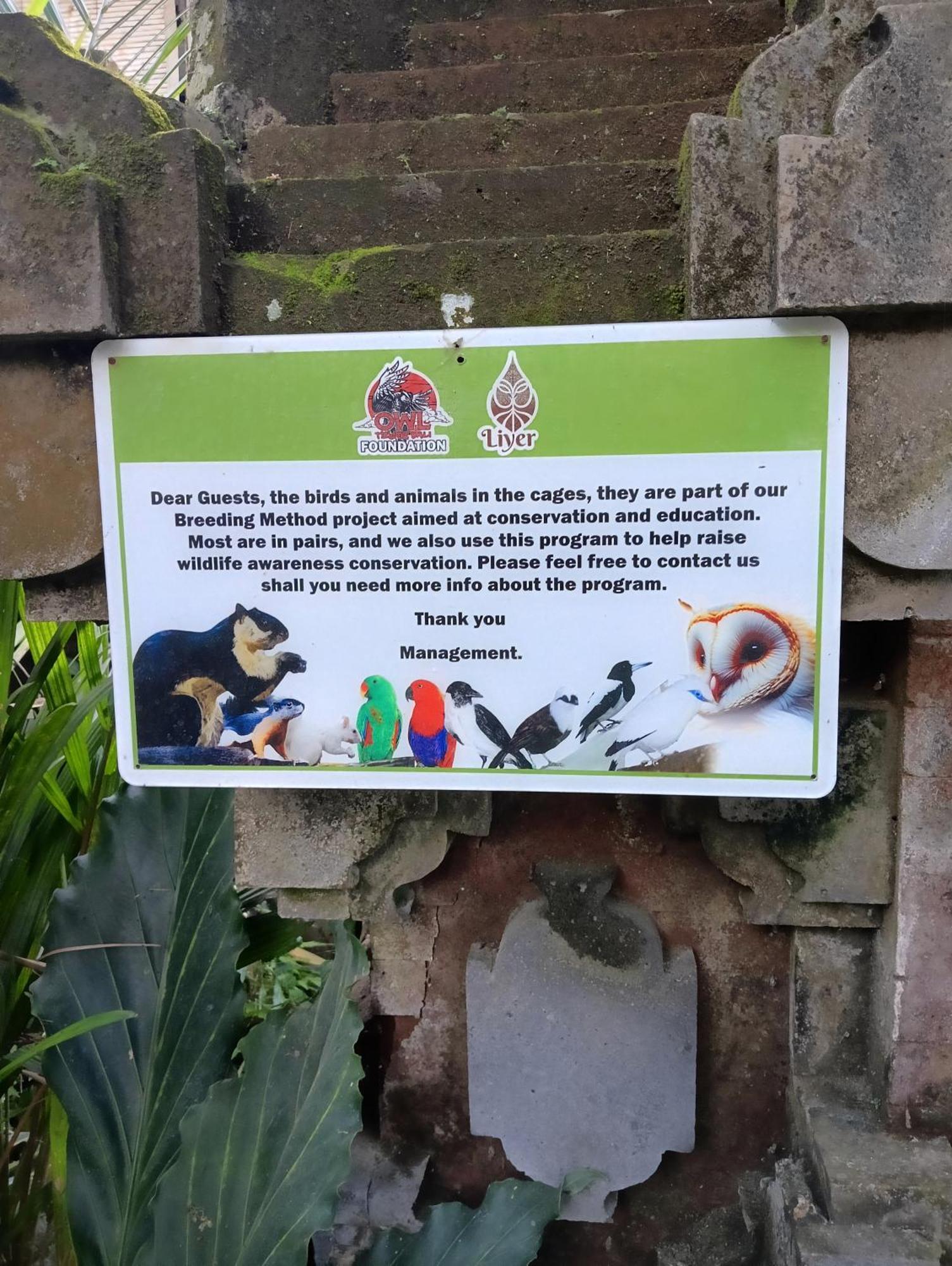 Liyer Spirit House Hotel Ubud  Ngoại thất bức ảnh